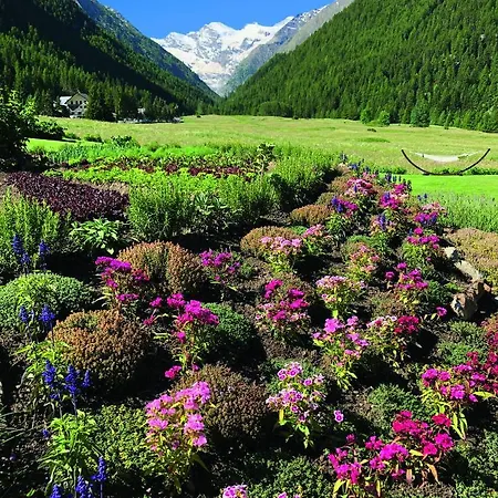 Bellevue Hotel&spa 5*