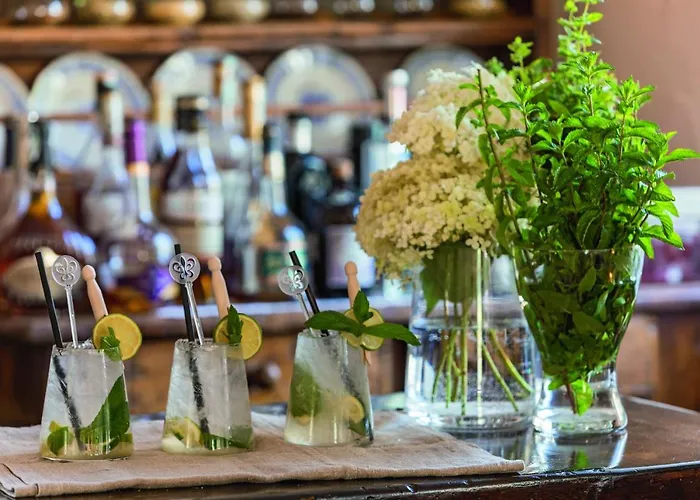 Отель Bellevue &