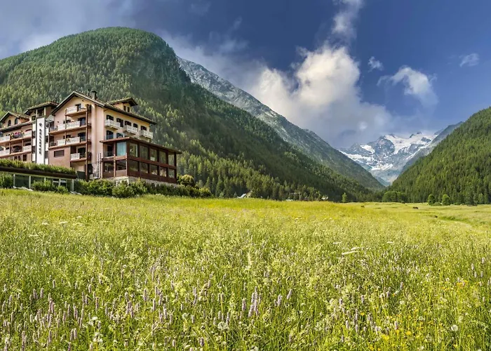 Bellevue & Конье