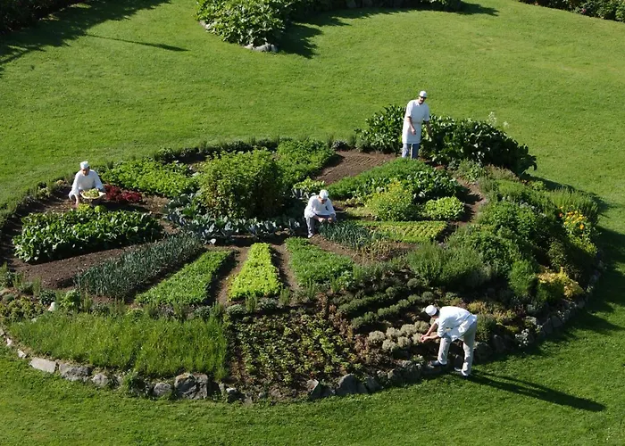 Bellevue & Отель Конье